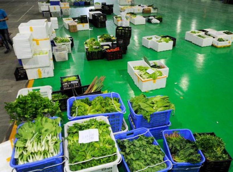 蔬菜配送：便捷生活的新选择